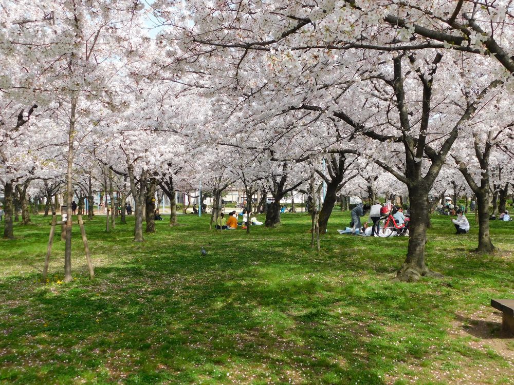 城北公園の画像 - 4枚目