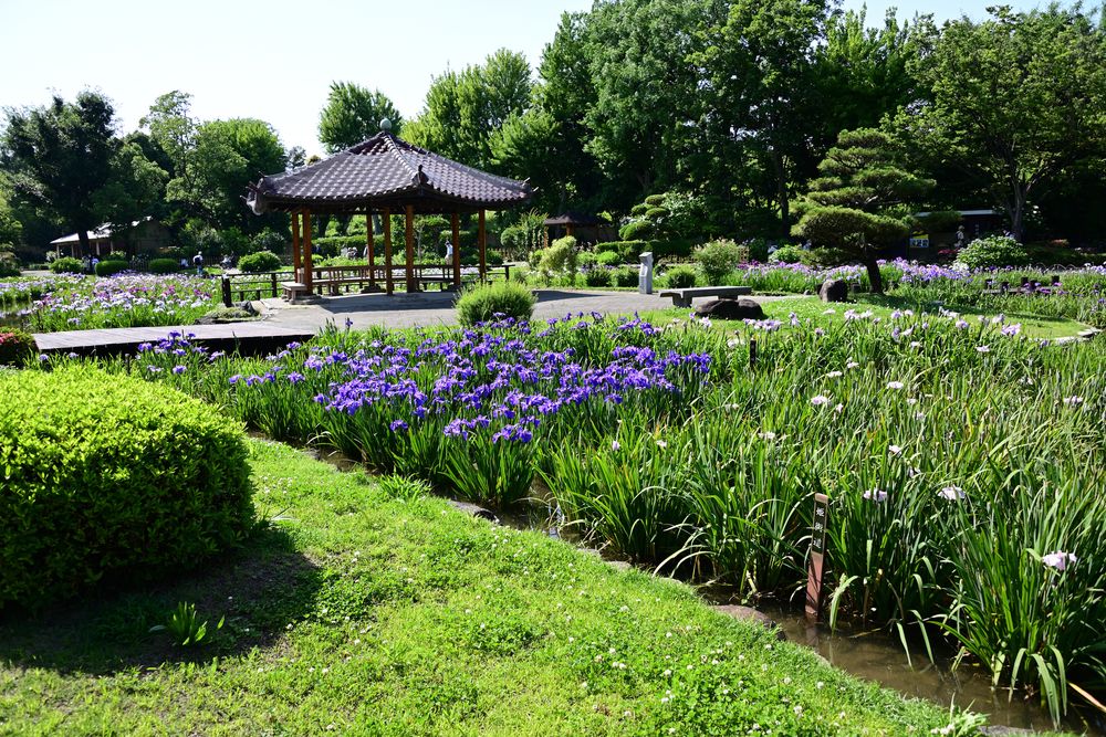 城北公園の画像 - 5枚目
