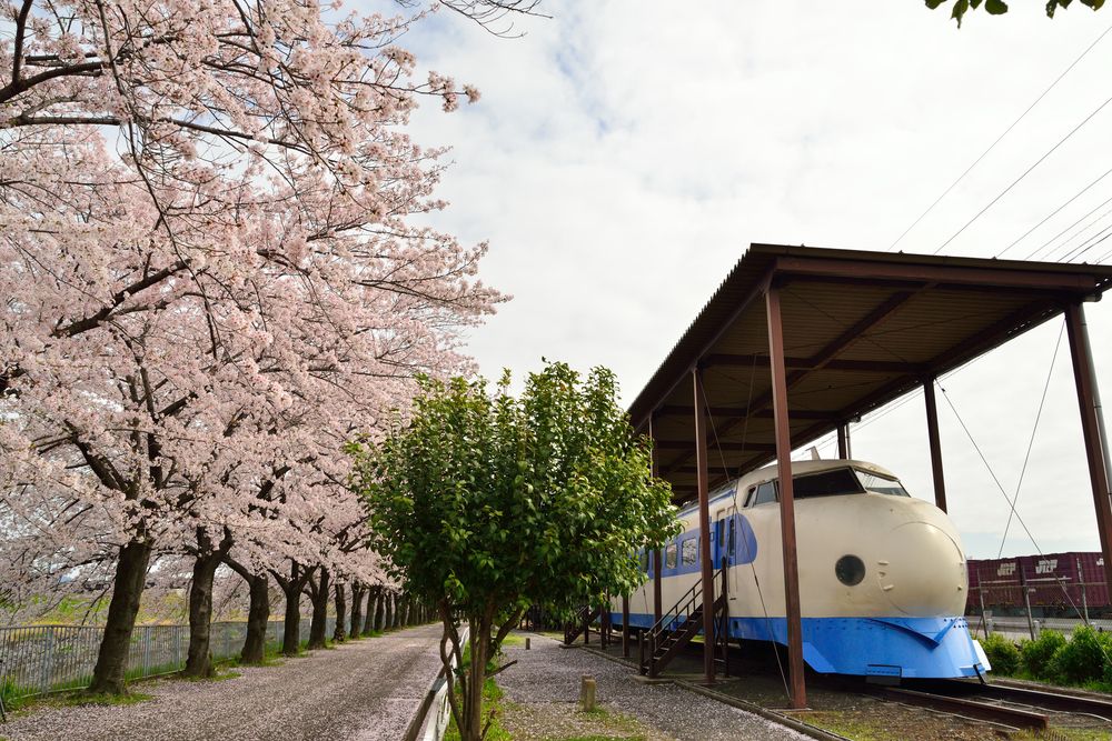 新幹線公園の画像 - 2枚目