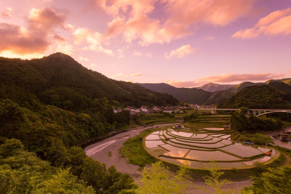 あらぎ島の画像 - 2枚目