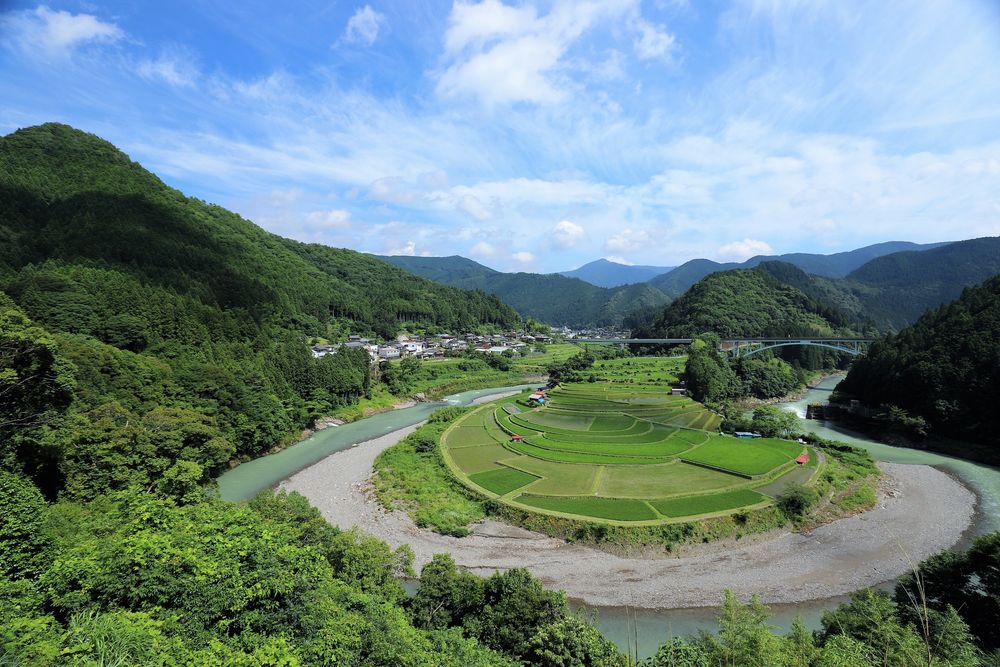 あらぎ島の画像 - 4枚目