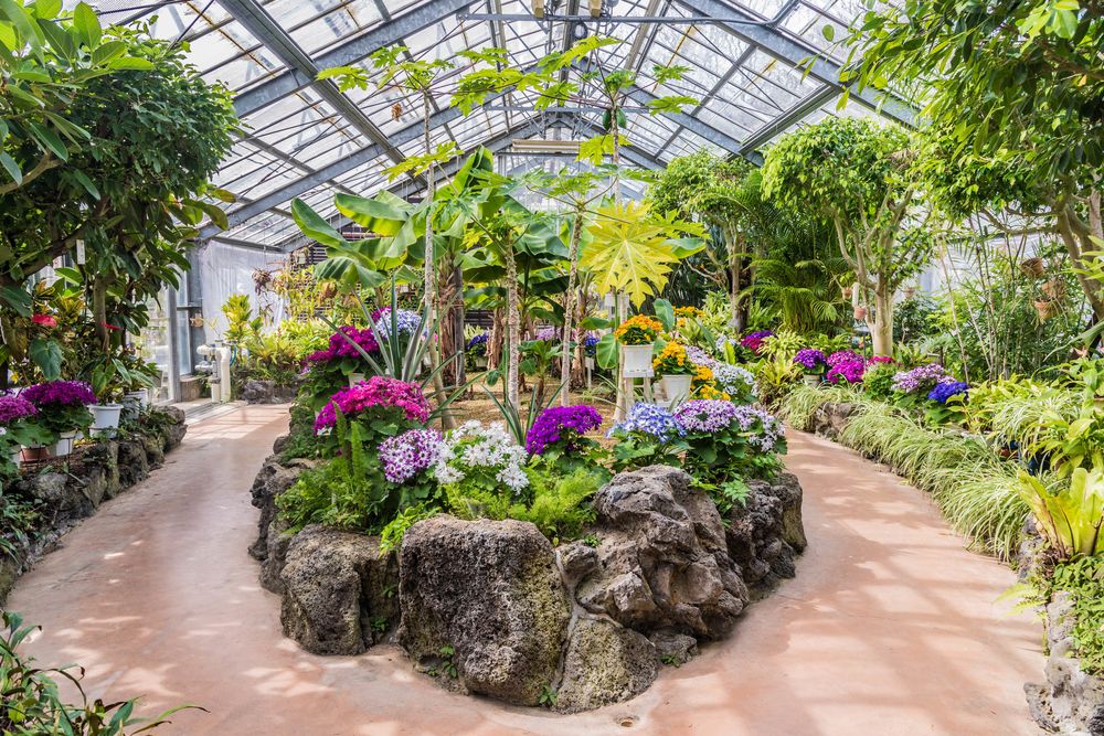 【ジャングルジャングル岩出店】【B251】Nintendo 2DS ブルー ※タッチペン無し※ 中古 ゲーム 和歌山 岩出市 紀の川市 海南市 和歌山県植物公園 緑花センター】の周辺スポット・アクセス・口コミ