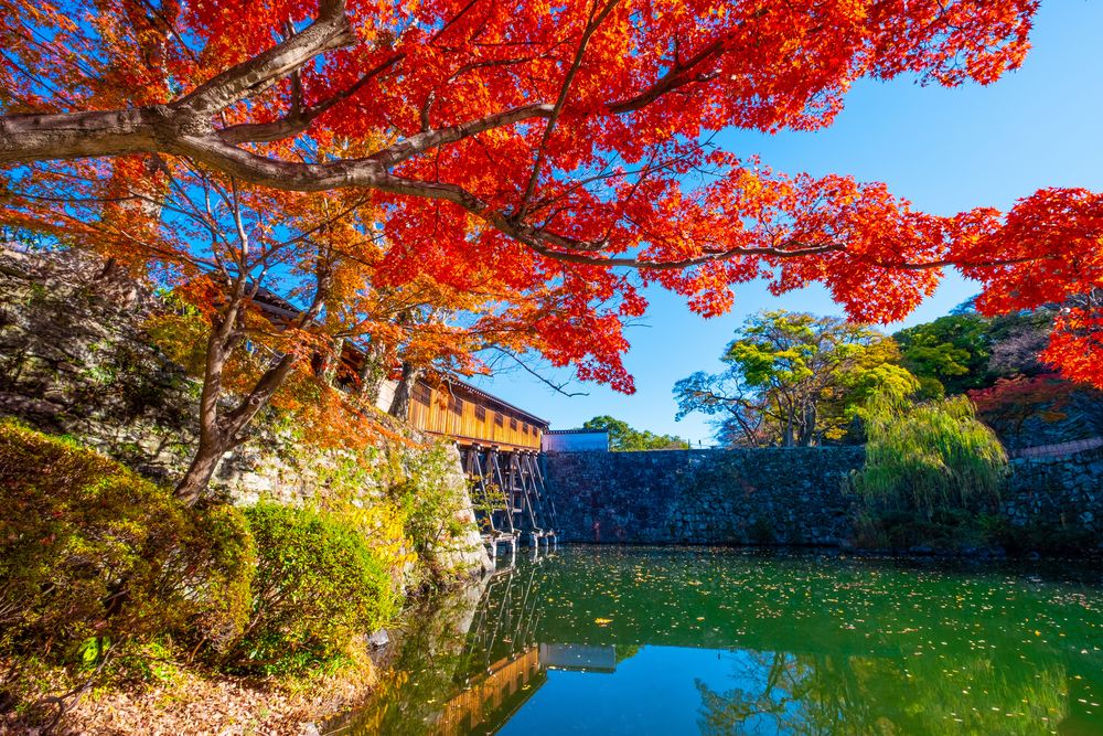 紅葉渓庭園の画像 - 3枚目