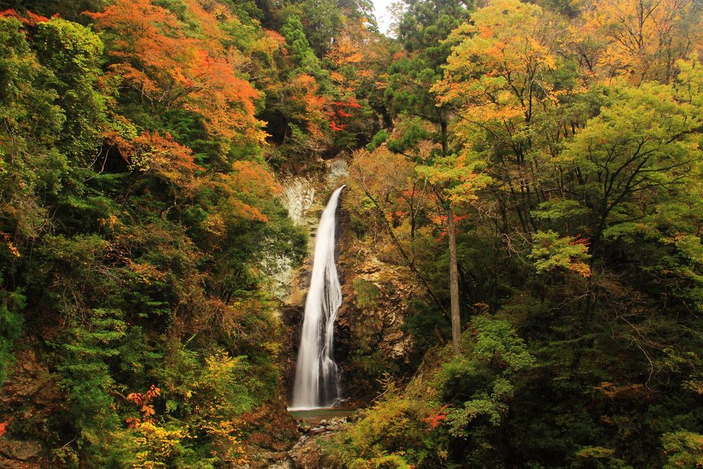 原不動滝の画像 - 2枚目