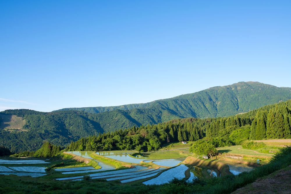 氷ノ山の画像 - 2枚目
