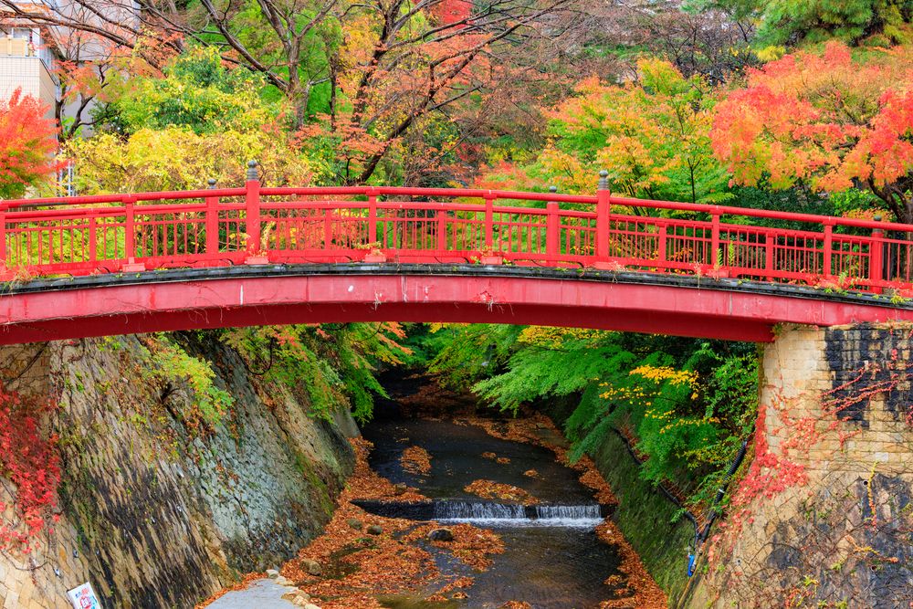 瑞宝寺公園の画像 - 4枚目
