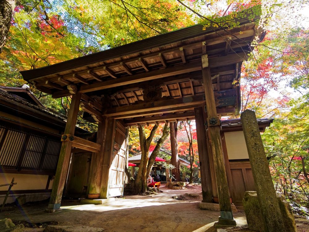 瑞宝寺公園