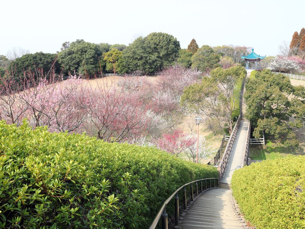 石ヶ谷公園の画像 - 2枚目