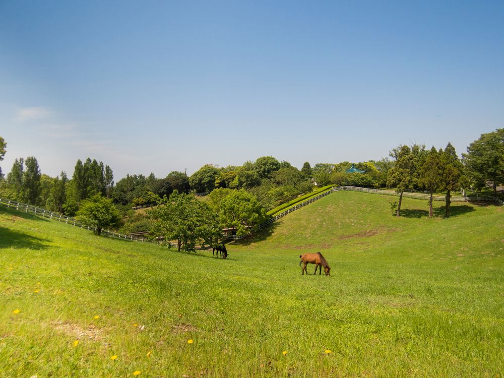石ヶ谷公園の画像 - 3枚目