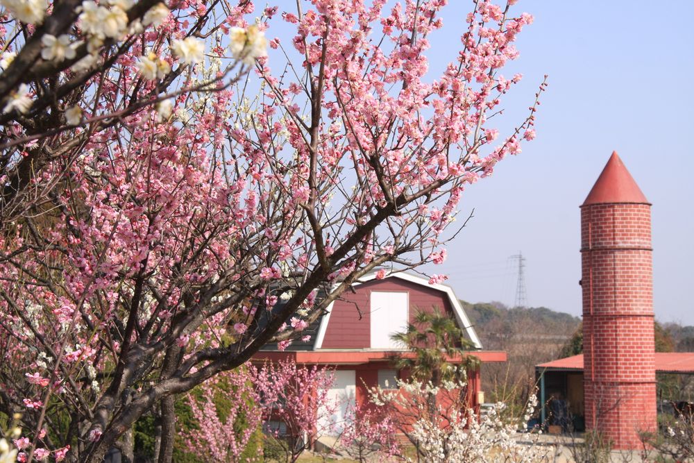 石ヶ谷公園の画像 - 4枚目