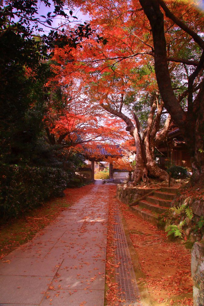 花山院菩提寺の画像 - 2枚目