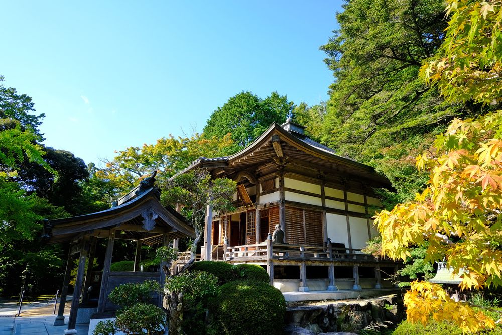 花山院菩提寺の画像 - 5枚目