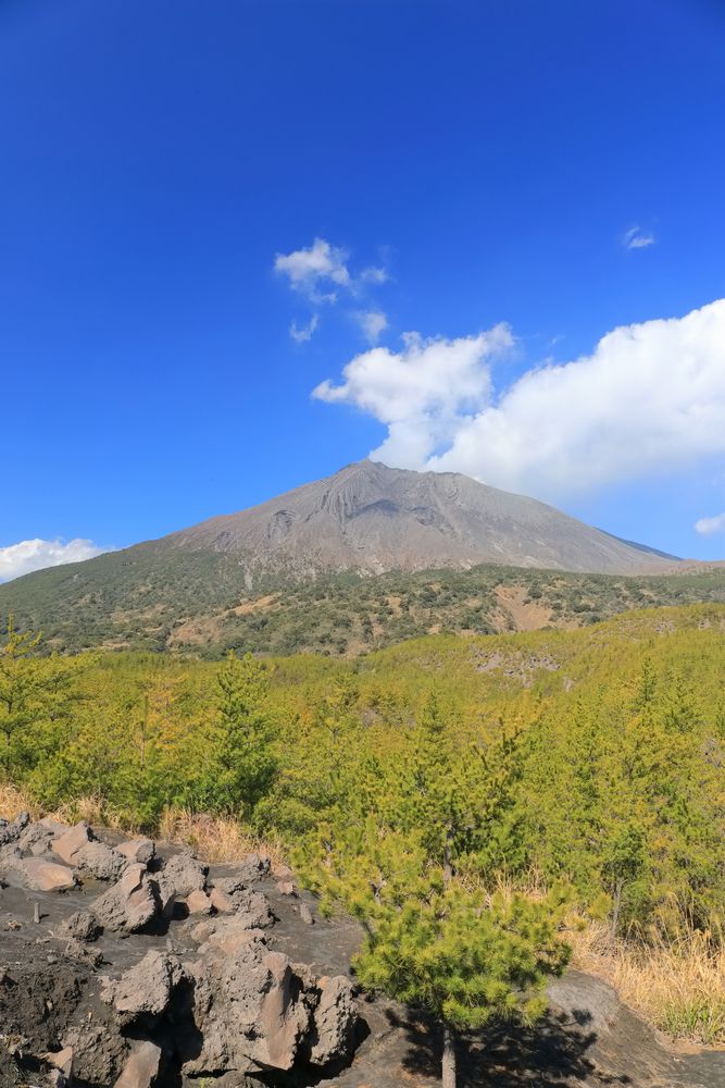 桜島】の周辺スポット・アクセス・口コミ - Prism Japan