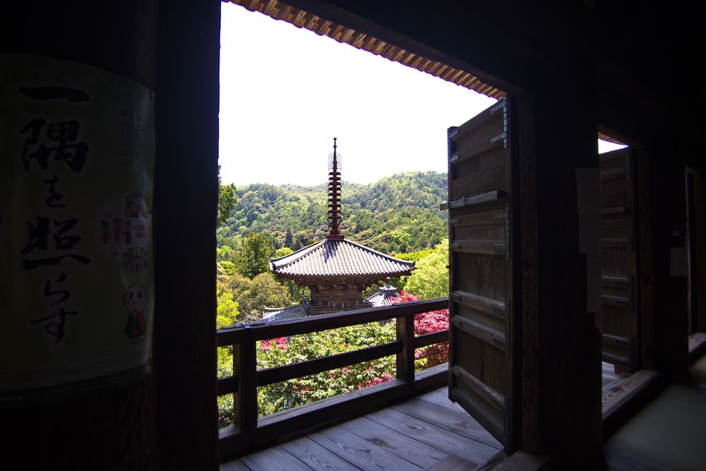 一乗寺の画像 - 4枚目