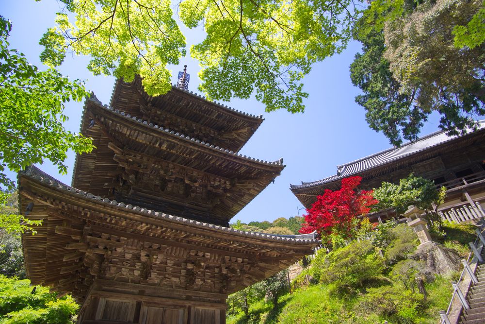 一乗寺の画像 - 5枚目
