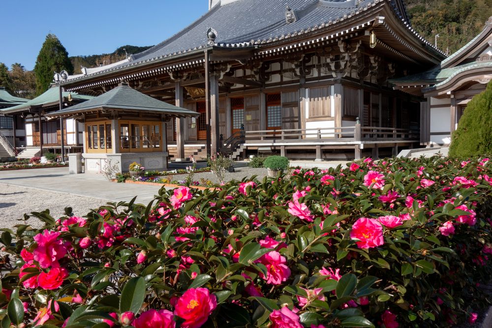 淡路島七福神霊場 大黒天 八浄寺の画像 - 5枚目
