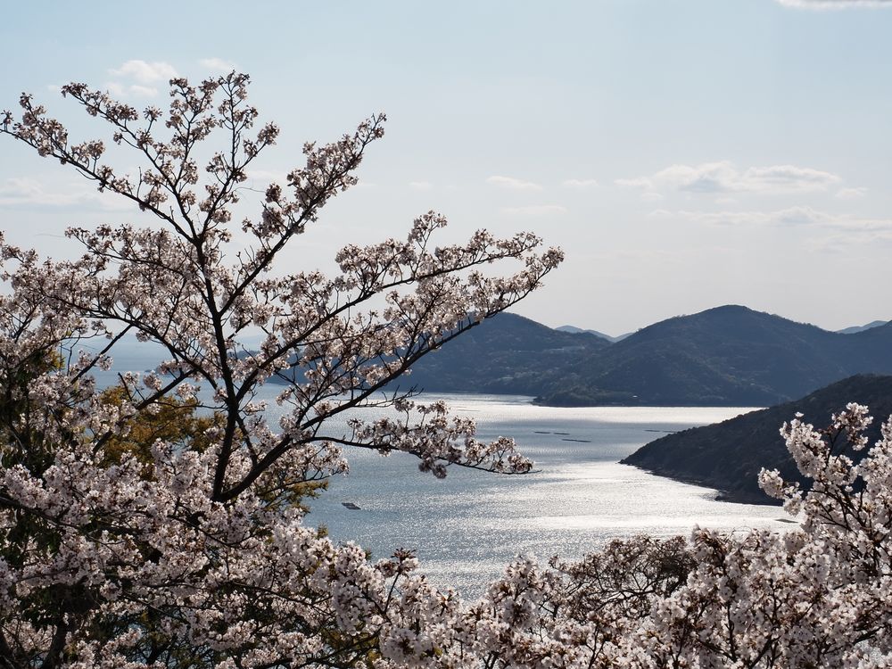 万葉の岬の画像 - 2枚目