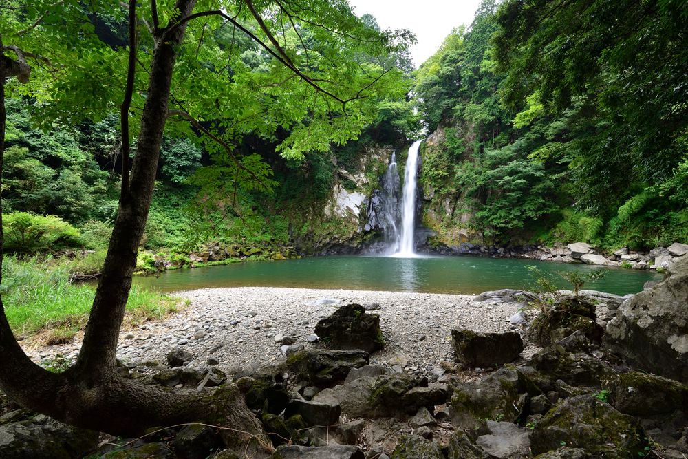 八反滝の画像 - 3枚目