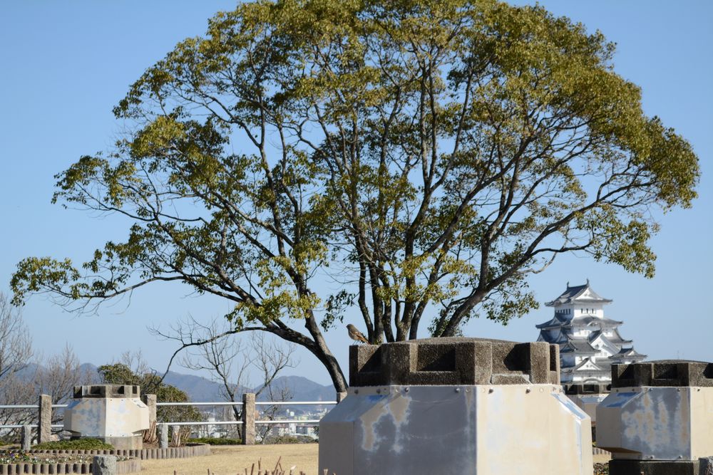 姫路市配水池公園［男山］の画像 - 5枚目