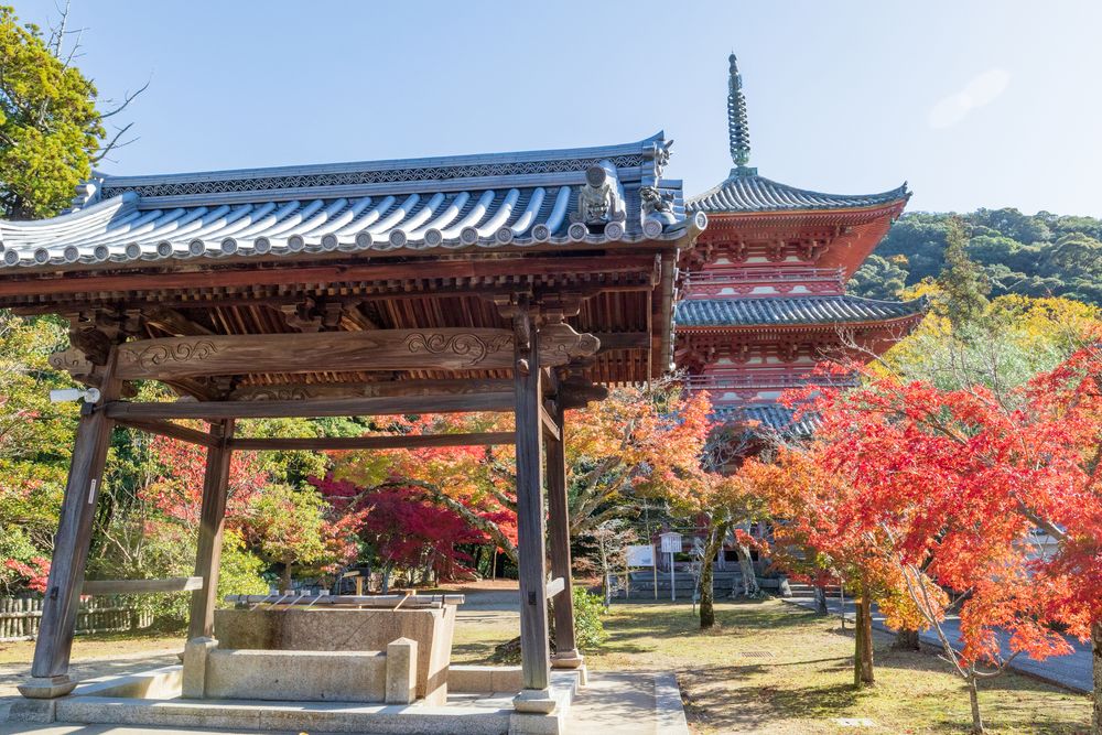 太山寺の画像 - 2枚目