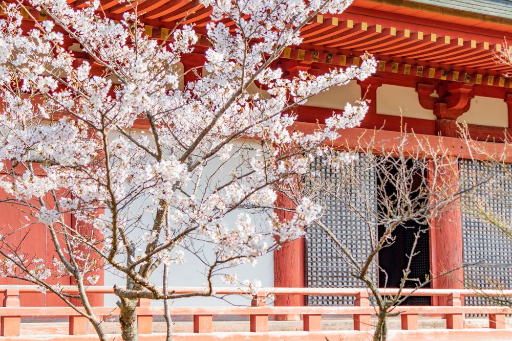 太山寺の画像 - 3枚目