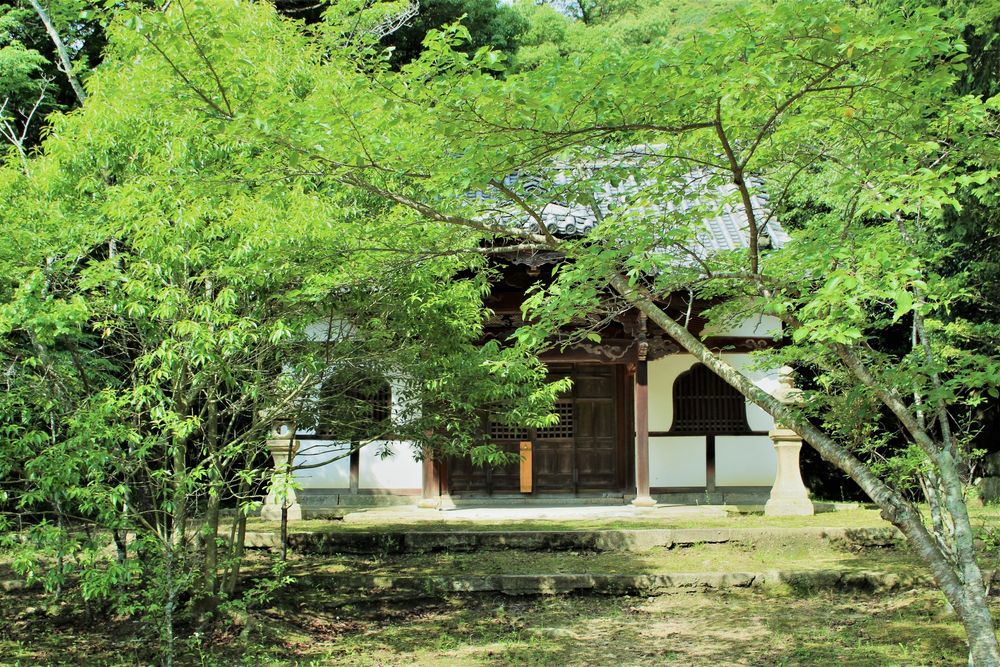太山寺の画像 - 5枚目
