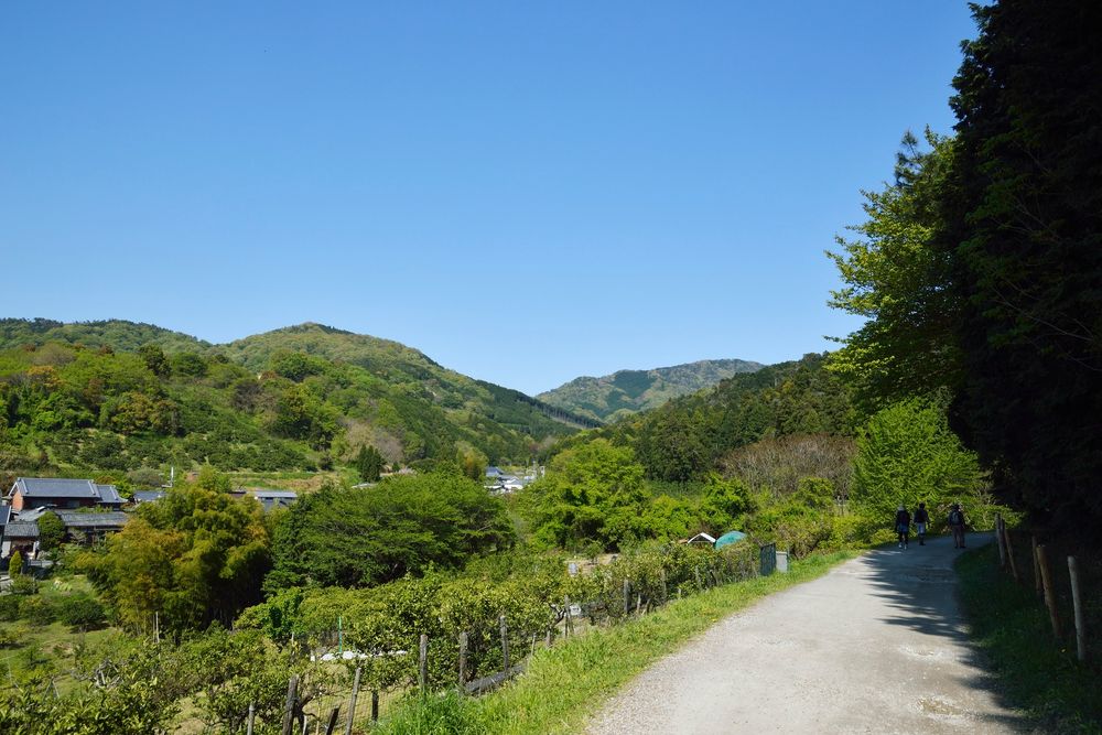 山辺の道の画像 - 3枚目