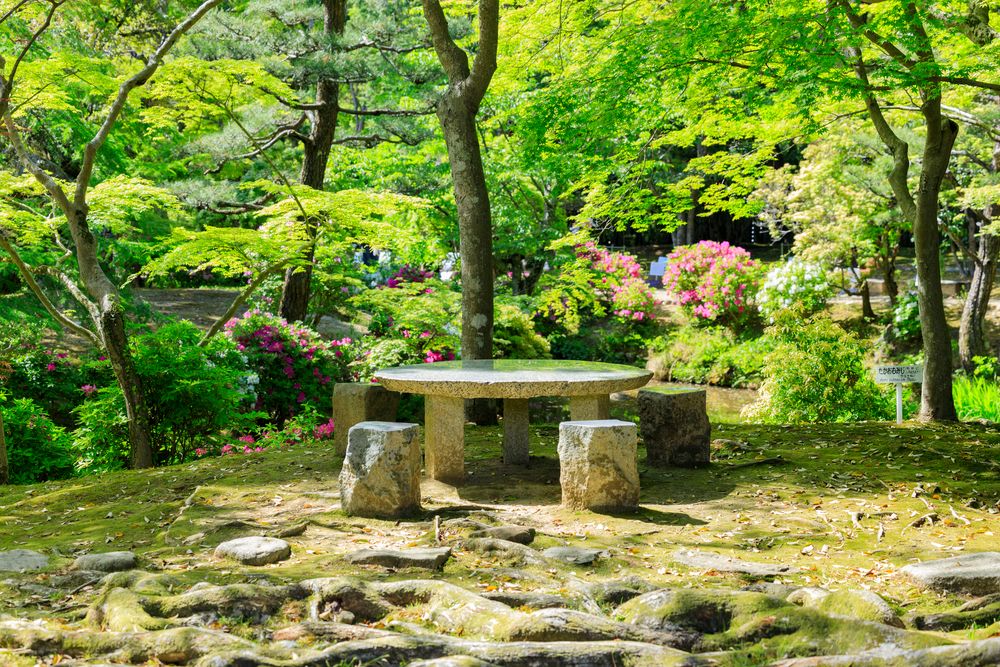 萬葉植物園の画像 - 4枚目