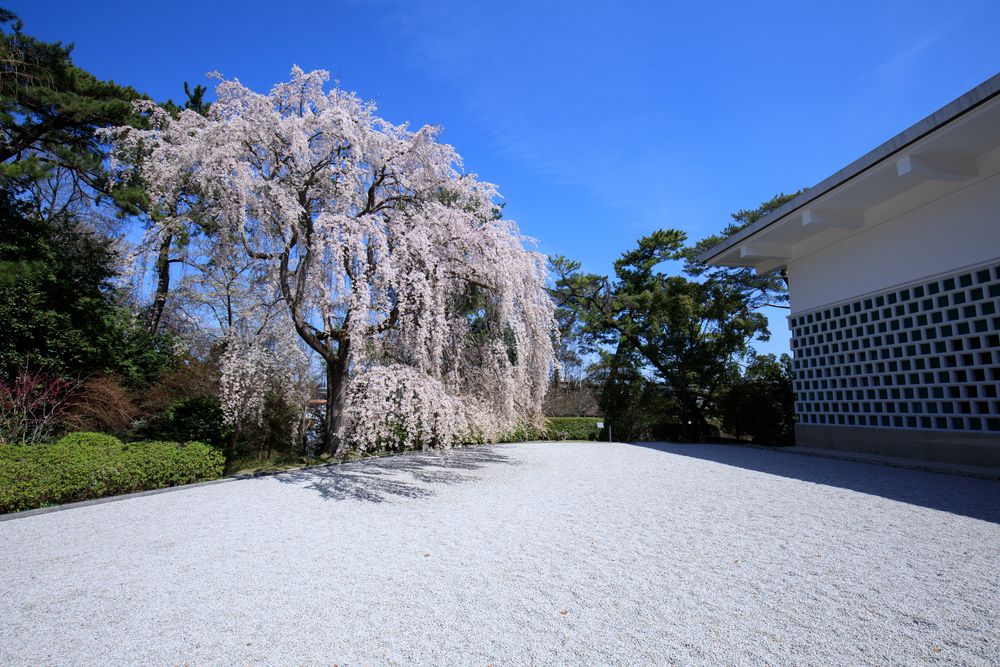 大和文華館の画像 - 2枚目