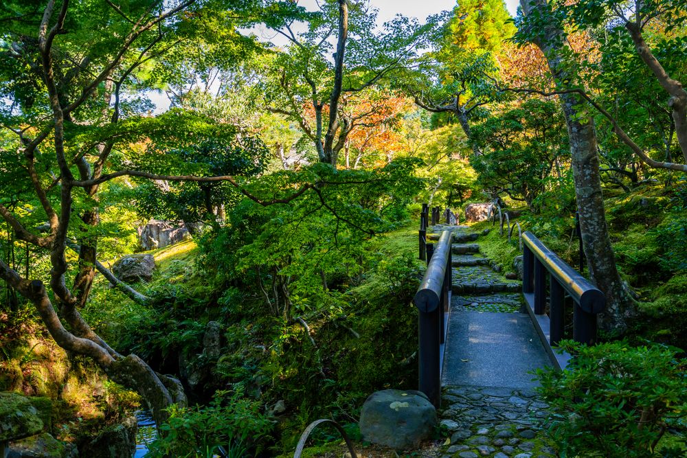 依水園・寧楽美術館の画像 - 2枚目