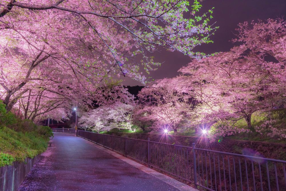 山中渓の画像 - 2枚目