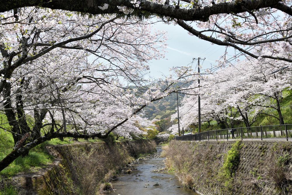 山中渓の画像 - 3枚目