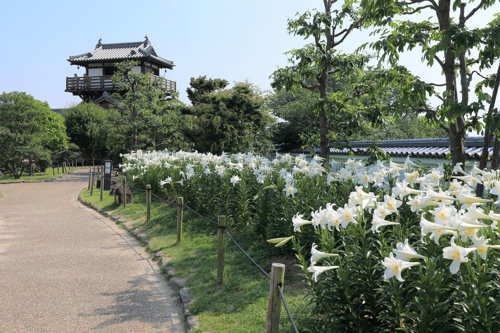 池田城跡公園の画像 - 3枚目