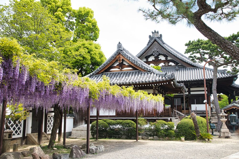 葛井寺の画像 - 4枚目