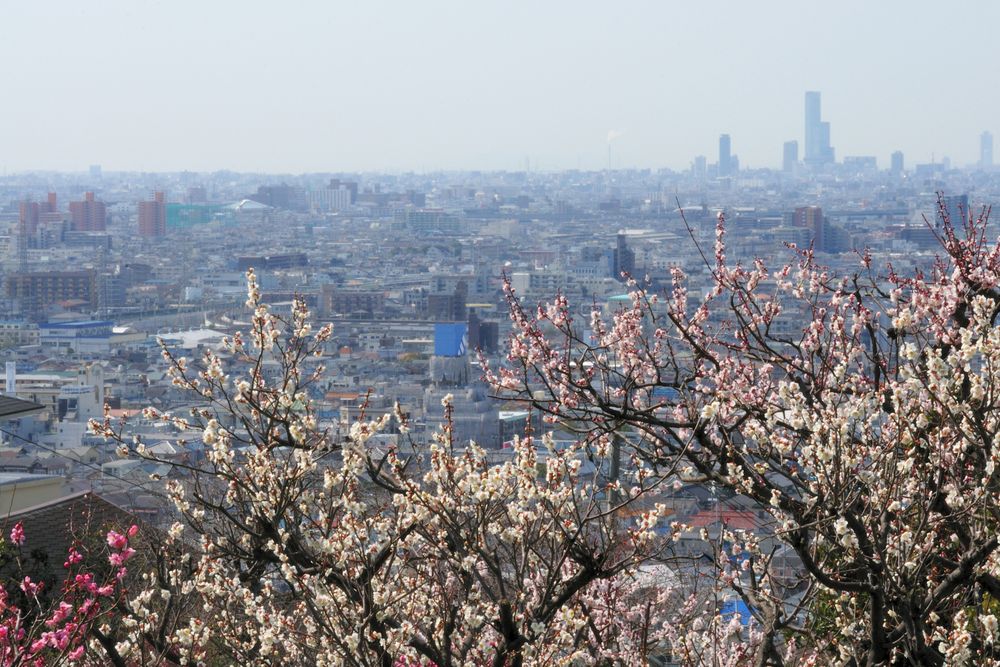 枚岡公園の画像 - 2枚目