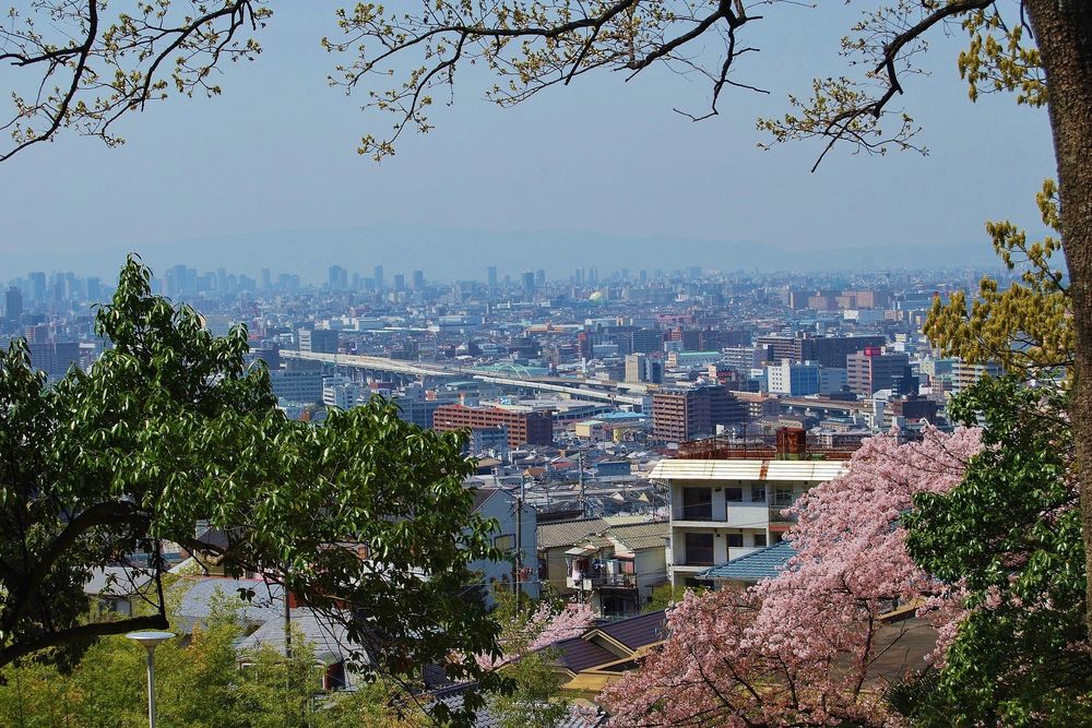 枚岡公園の画像 - 3枚目
