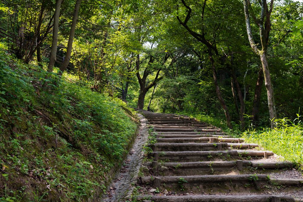 枚岡公園の画像 - 5枚目