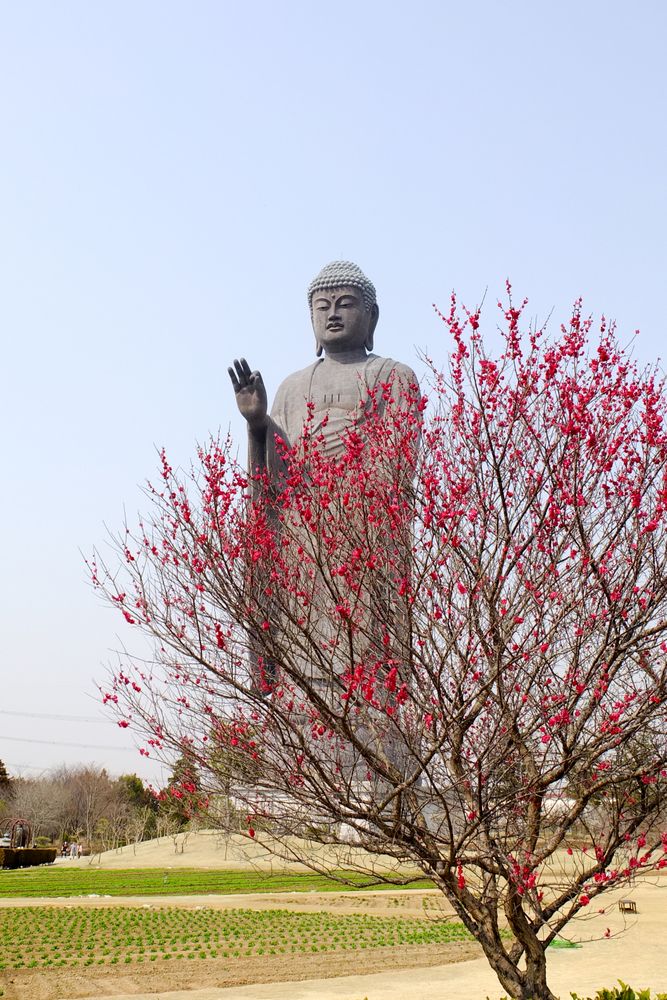 牛久大仏の画像 - 2枚目