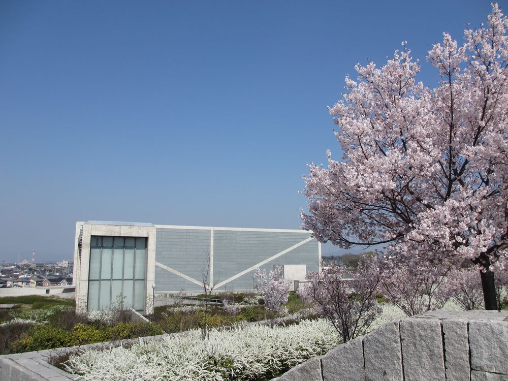 大阪府立狭山池博物館の画像 - 2枚目