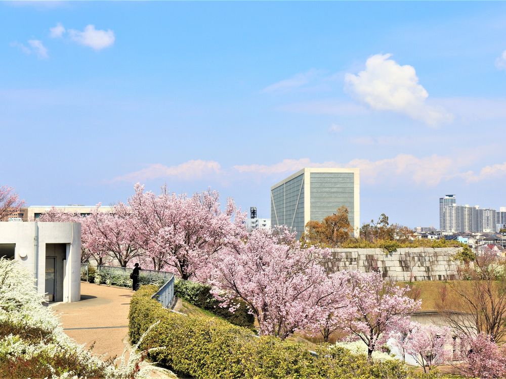大阪府立狭山池博物館の画像 - 4枚目