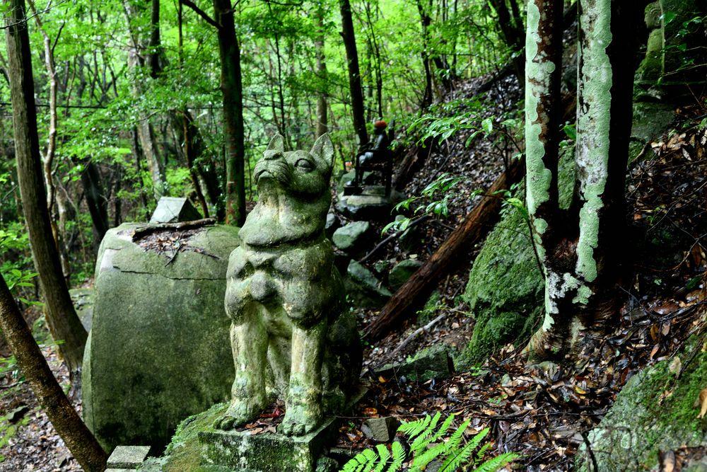 七宝瀧寺の画像 - 5枚目