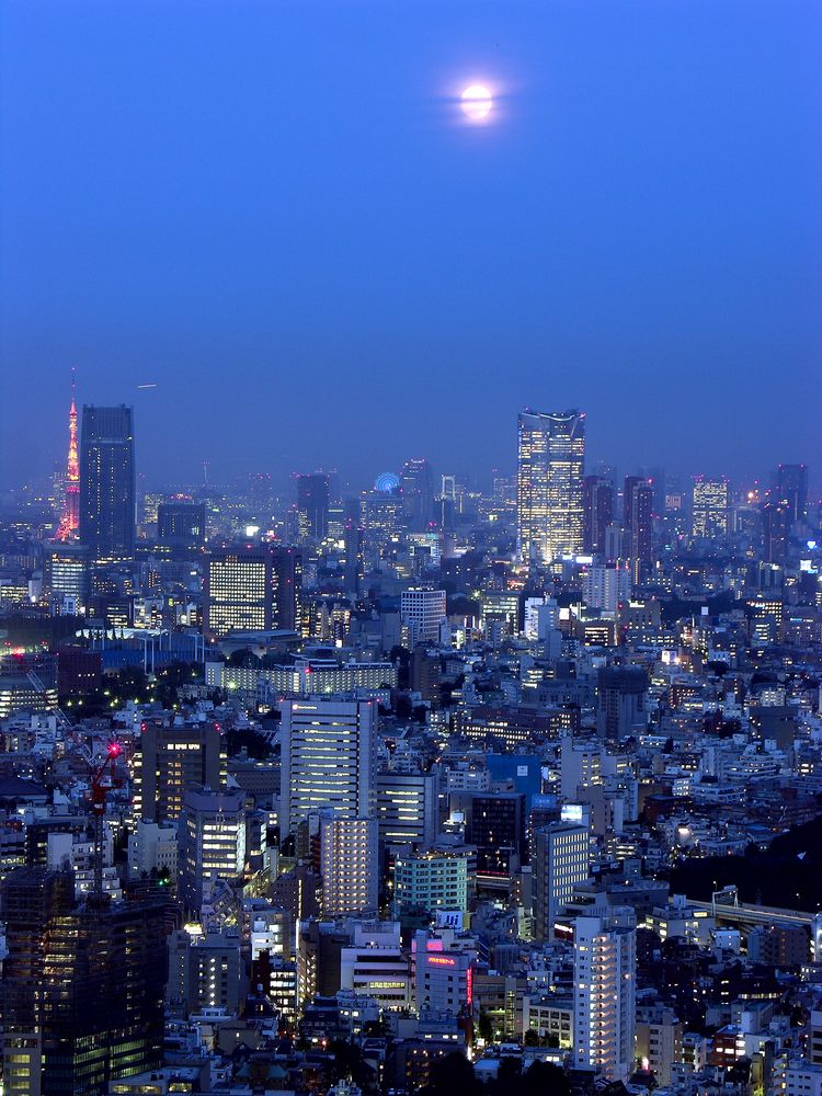 東京都庁 展望室の画像 - 2枚目