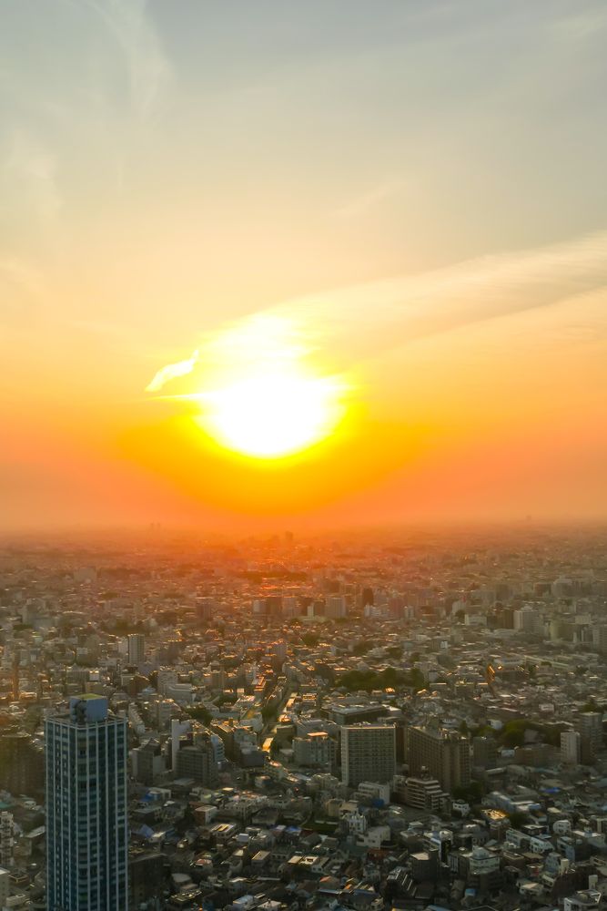 東京都庁 展望室の画像 - 3枚目