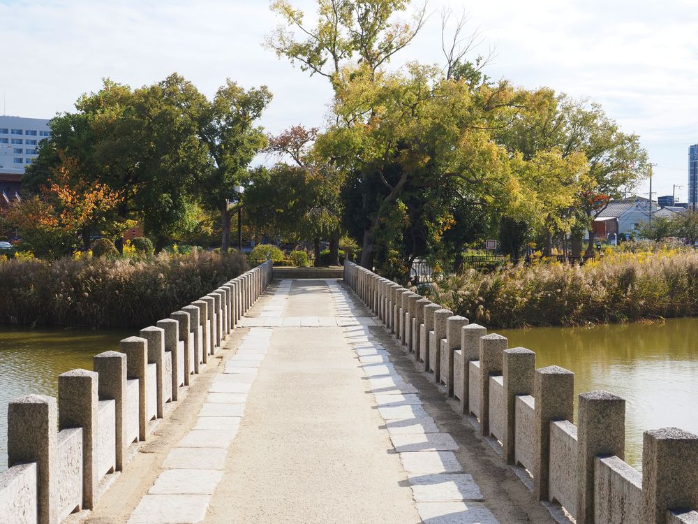 万代池公園の画像 - 4枚目