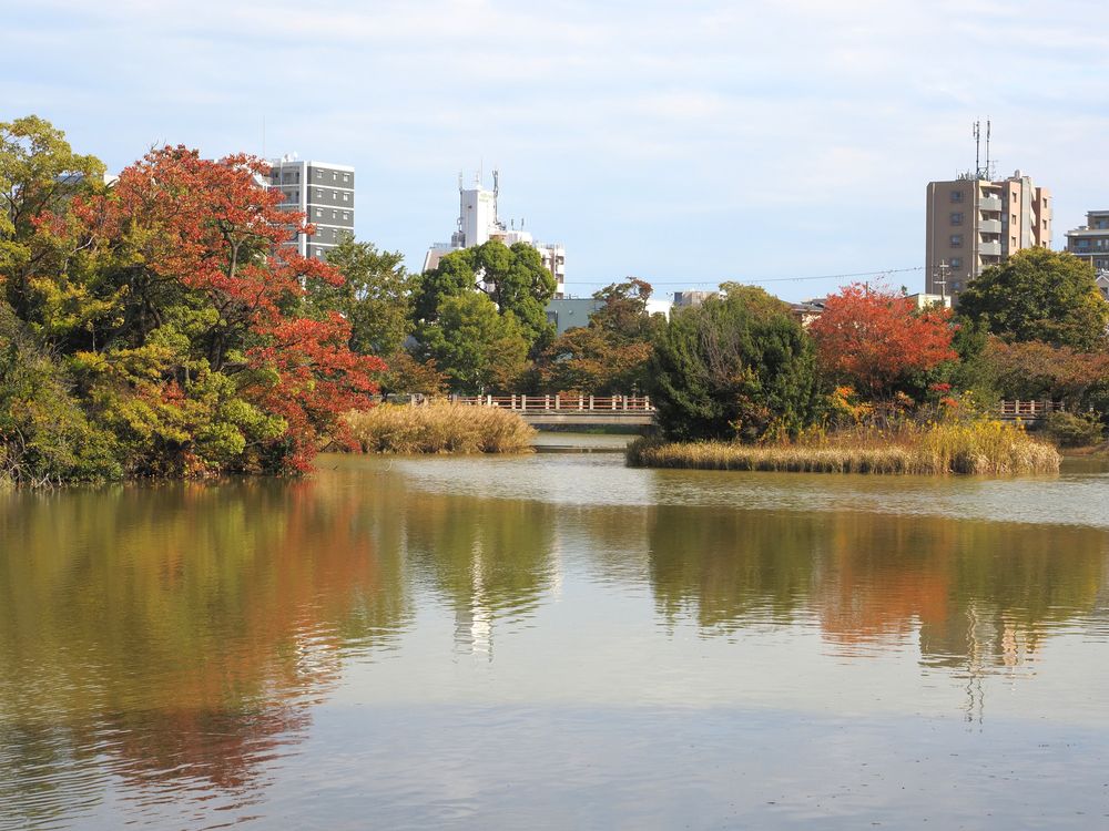 万代池公園の画像 - 5枚目