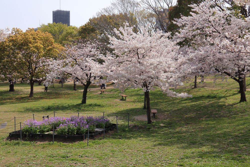 八幡屋公園の画像 - 5枚目