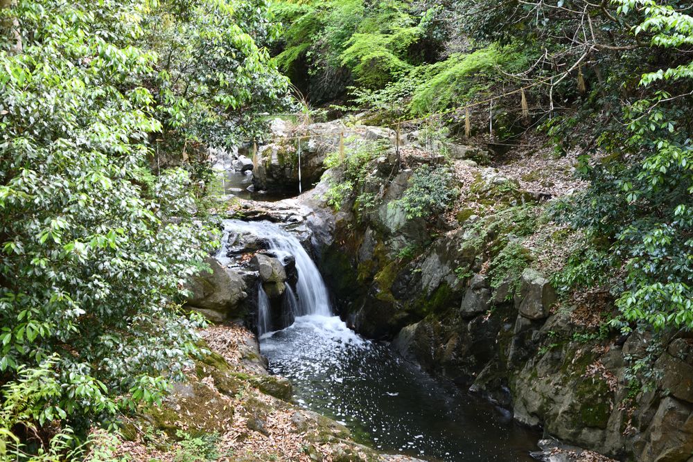 水間寺の画像 - 4枚目