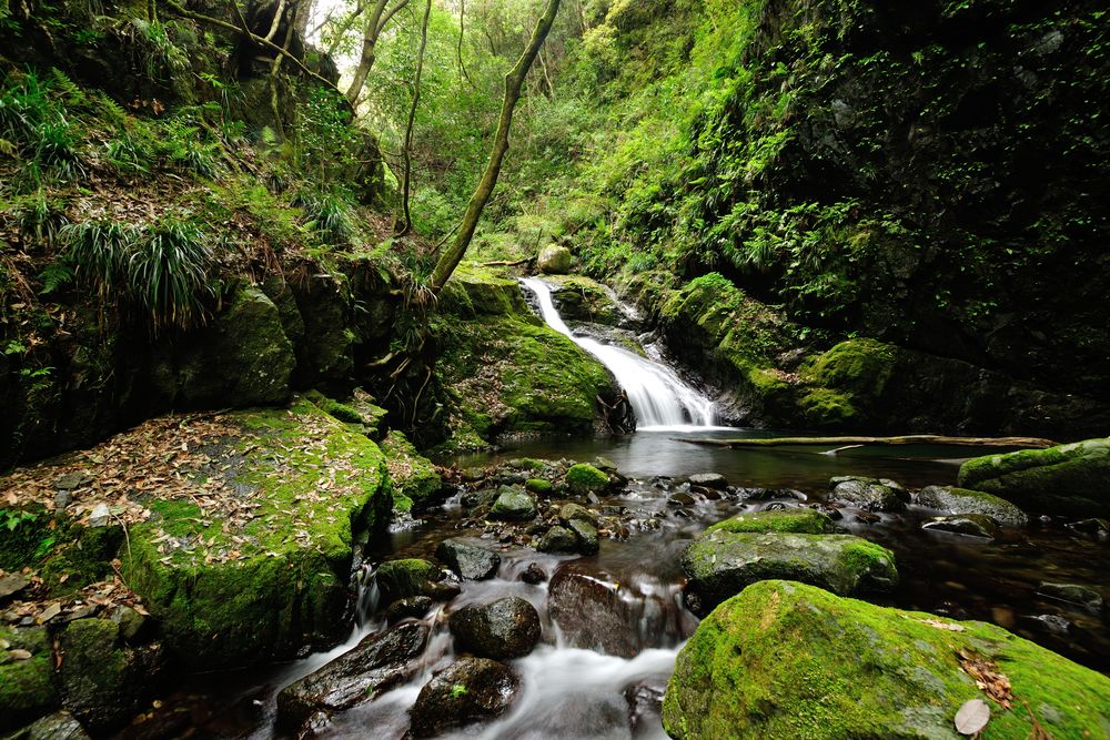 滝畑四十八滝】の周辺スポット・アクセス・口コミ - Prism Japan