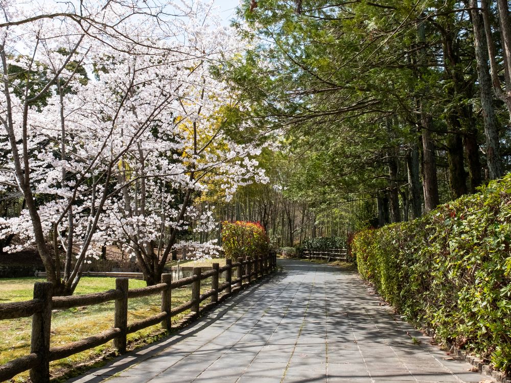 びわこ文化公園】の周辺スポット・アクセス・口コミ - Prism Japan