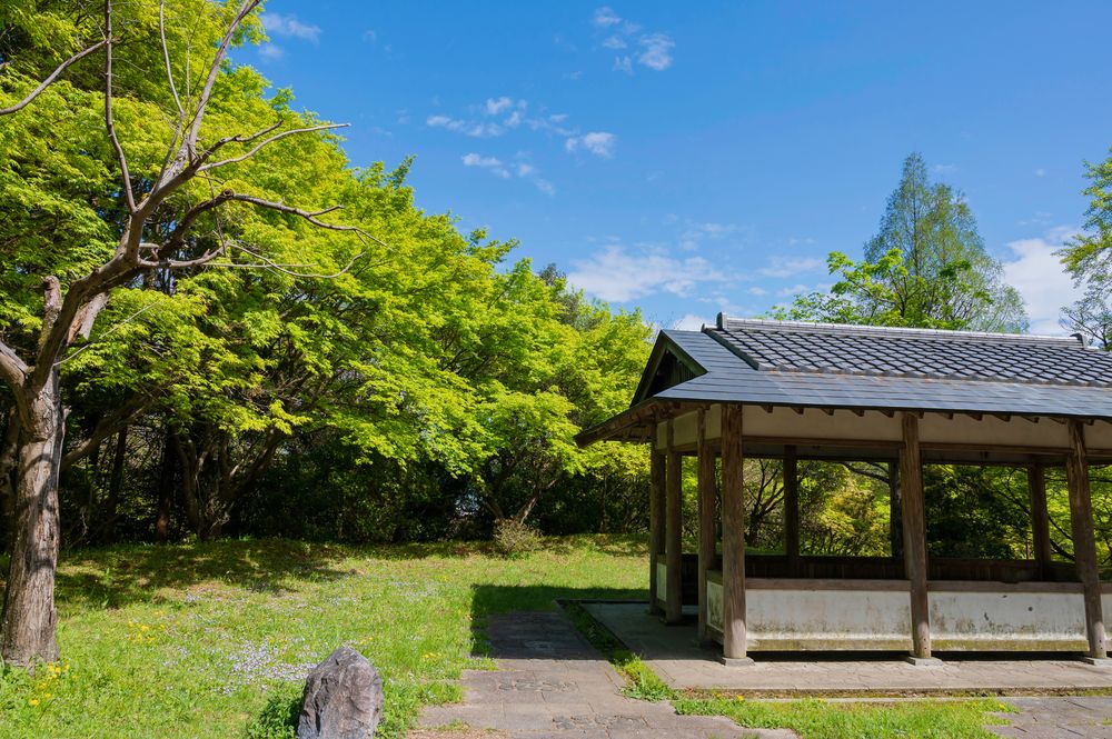 皇子が丘公園
